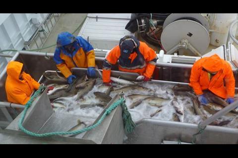 The electro-stunning system saves the crew time